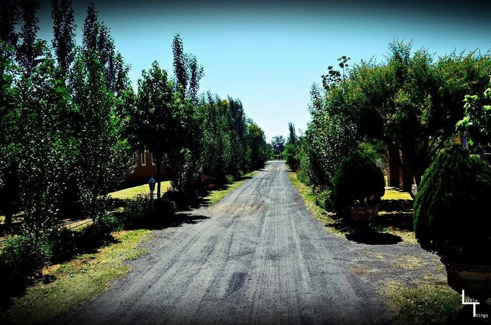 Provence Potchefstroom wedding and event venue - 477832487_1070177654911834_6155776596845221519_n